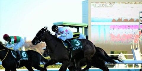 ミスパンテール号が競走馬登録抹消