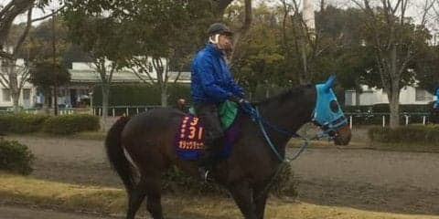 【中山グランドジャンプ】オジュウチョウサン 石神「9分9厘負けない」