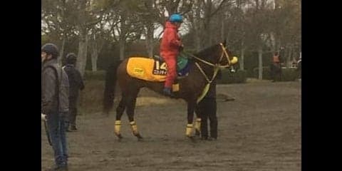 【皐月賞】ニシノデイジー  大一番で巻き返しなるか