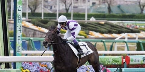 【中山4R】武豊ブラッドストーンが楽々逃げ切る