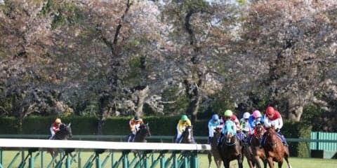 【中山グランドJ】オジュウチョウサン史上初の中山グランドジャンプ4連覇！