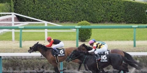 【京葉S】武豊アポロノシンザンが逃げ切る