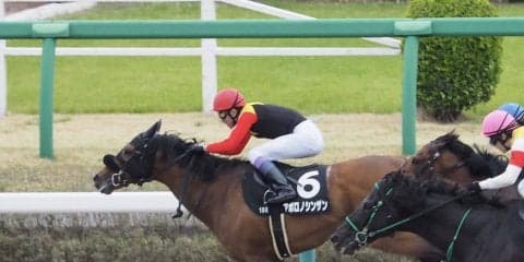 【京葉S】武豊「踏ん張ってくれた」アポロノシンザン逃げ切る