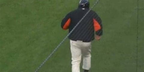 【MLB】「史上最高のボールボーイ」懸命にボールを追いかける姿にファンも“ほっこり”