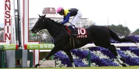 シャケトラ号が死亡