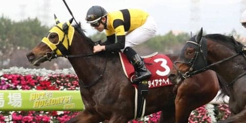 ダイアナヘイロー号が競走馬登録抹消