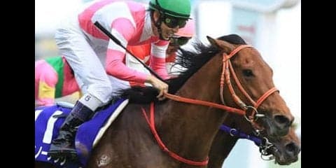 マイラーズＣは万馬券の確率大。人気落ちのＧＩ馬と善戦マンが大駆けする