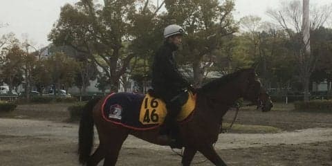 【福島牝馬S】フローレスマジック 木村師「うまく噛み合えば…」