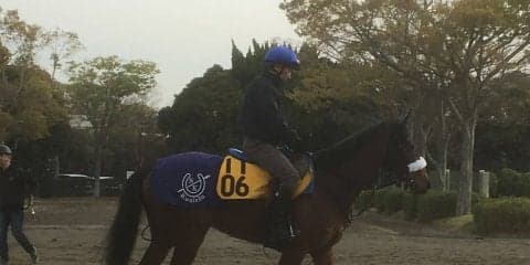 【福島牝馬S】ダノングレース 3連勝で重賞タイトルなるか