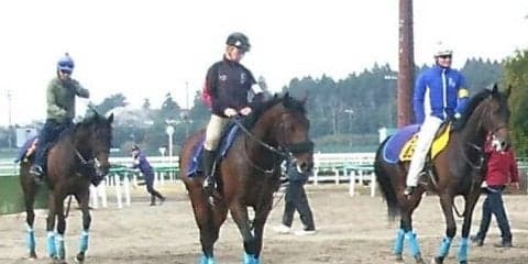 【フローラS】ウィクトーリア 戸崎「背中が良くて雰囲気のある馬」