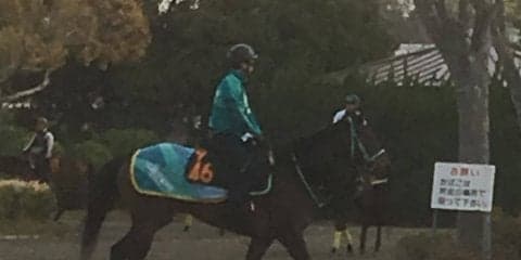 【フローラS】パッシングスルー 黒岩師「ここでも楽しみ」