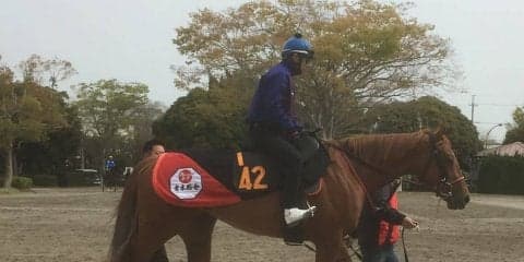 【フローラS】ウインゼノビア 松岡「距離はギリギリかも」