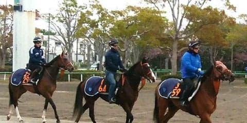 【フローラS】エアジーン 近親に良血豊富で重賞でも期待