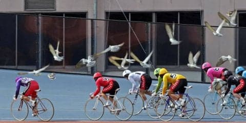 高知G3（3日目）ピックアップ