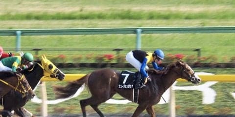 【鎌倉S】「ダートでコツコツ」フュージョンロックがオープン入り