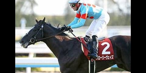 平成最後の天皇賞・春は「華麗なる一族」の３頭が魅せる！　