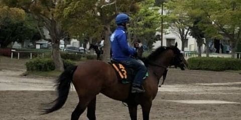 【青葉賞】ランフォザローゼス  皐月賞パスしてベスト距離で勝負