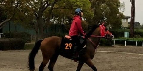 【青葉賞】アドマイヤスコール  スタミナ十分でタイトル狙う