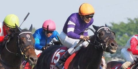 平成最後の天皇賞・春は13頭立て