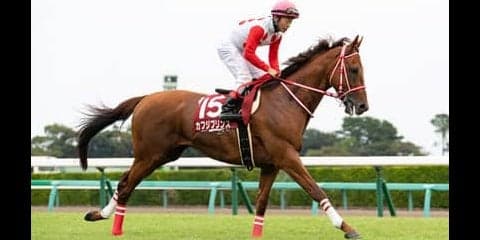 昨秋の菊花賞「再戦」ムードの天皇賞・春。穴馬は持久力勝負の王子様だ
