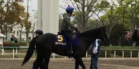 【天皇賞・春】グローリーヴェイズ  メジロの血を味方に天皇賞制覇を目指す