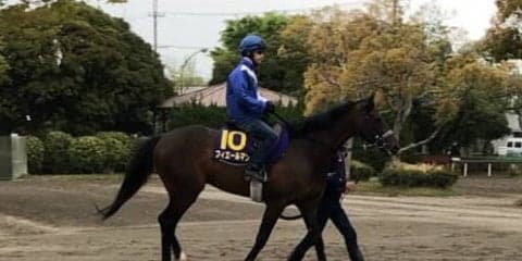 【天皇賞・春】フィエールマン  ルメール「平成最後の天皇賞を勝ちたい」