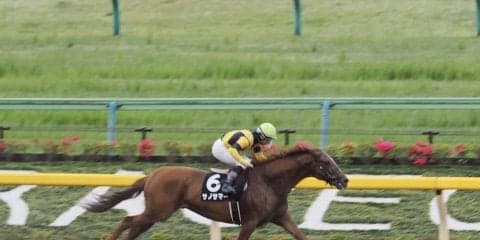 【春光S】サノサマー3角先頭で押し切る！内田博幸のファインプレー