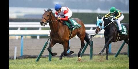 高額馬がいよいよ本領発揮か。「変則二冠」に挑むダノンチェイサー