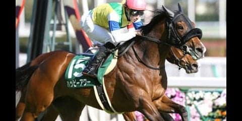 超高配当続出のNHKマイルＣ。激走馬の方程式から導いた３頭の穴馬