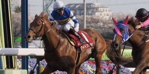 【NHKマイルC】出走馬の調教後の馬体重