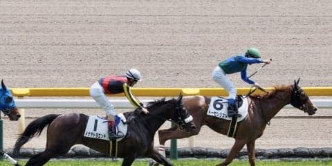 【東京6R】トーセンリストがまんまと逃げ切り！ドナアトラエンテは2着