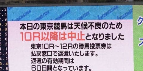 東京競馬場に大粒の雹が降り10R以降中止