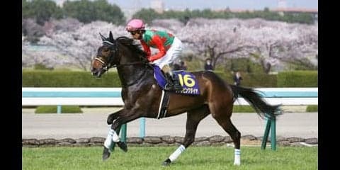 屈指の切れ者シゲルピンクダイヤ。名物オーナーに破格の夢を届けるか