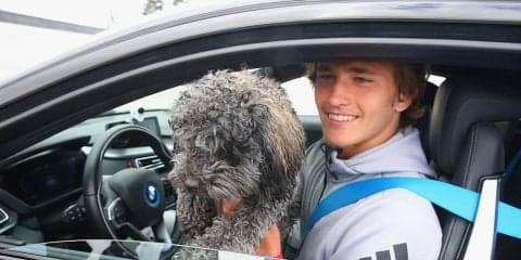 ズべレフ、マイアミで一目惚れ！小さな家族を迎え入れることに！