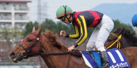 【ヴィクトリアマイル】登録馬と見どころ ラッキーライラックなど