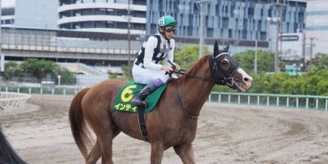 【かしわ記念】武豊「動かされたのが痛かった」インティは2着