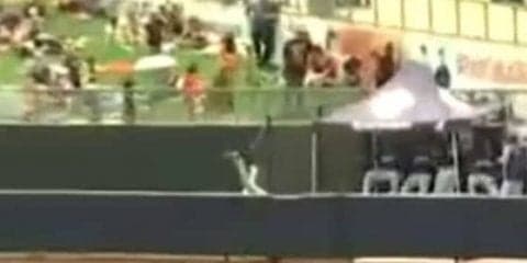 【MLB】米2Aで“強奪スタンドイン”の超美技！　判定は？　「なぜ本塁打にならない」