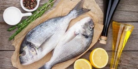 DHA？EPA？カラダがよろこぶ魚の栄養素