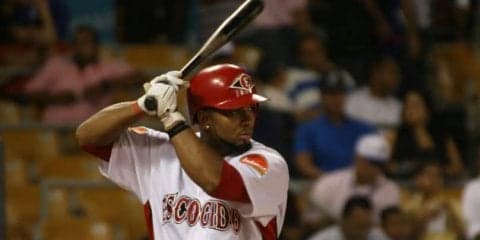 ヨーロッパと世界最大の野球選手輩出地カリブの融合、「オランダ野球」【WORLD BASEBALL vol.8】