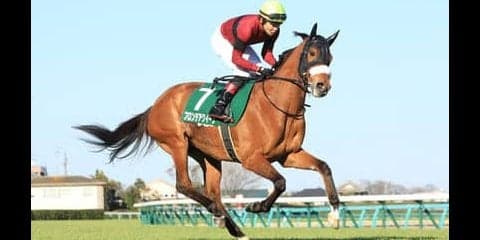 ヴィクトリアマイルの穴馬は３頭。お宝馬券につながるヒントが解けた