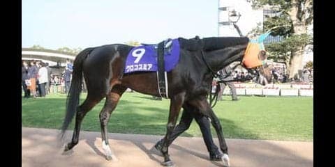 ヴィクトリアマイルはほぼ宝くじ。穴党記者推し４頭で高額当選キター