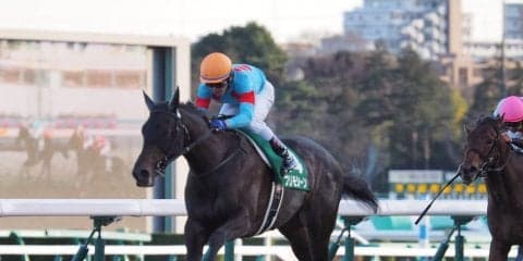 【ヴィクトリアマイル】枠順と見どころ プリモシーンは5枠9番