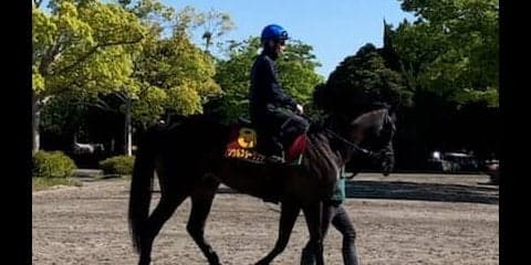 【ヴィクトリアマイル】ソウルスターリング 武豊「さすがですね」