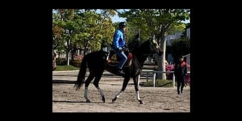 【京王杯SC】キャナルストリート 1400はベスト！