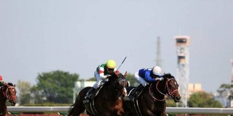 【緑風S】ヴァントシルムが4勝目