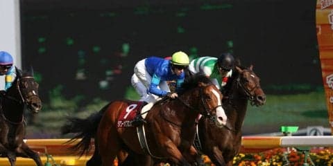 【京王杯SC】レーン「展開は素晴らしかった」タワーオブロンドンが人気に応える