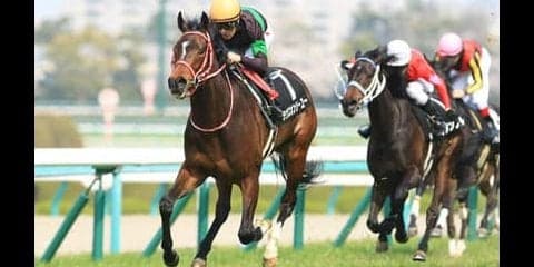 ３連続完勝のラヴズオンリーユー。魅惑の良血馬はクラシック級の評価