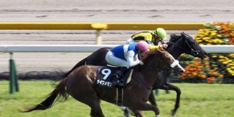 【テレ玉杯】ダイワメモリー差し切り！勝ちタイムは1分57秒8