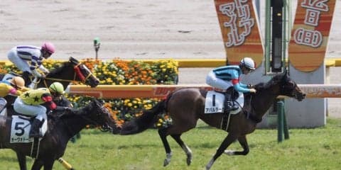 【東京7R】ヴィクトリアマイルと同距離7Rはアバルラータが差し切り