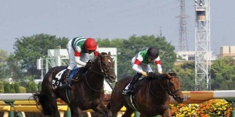 雹（ひょう）で延期のプリンシパルSはザダルが勝利